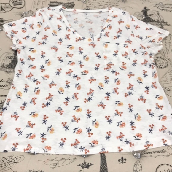 CASLON Rounded V-Neck Tee(PLUS SIZE) - Picture 6 of 7